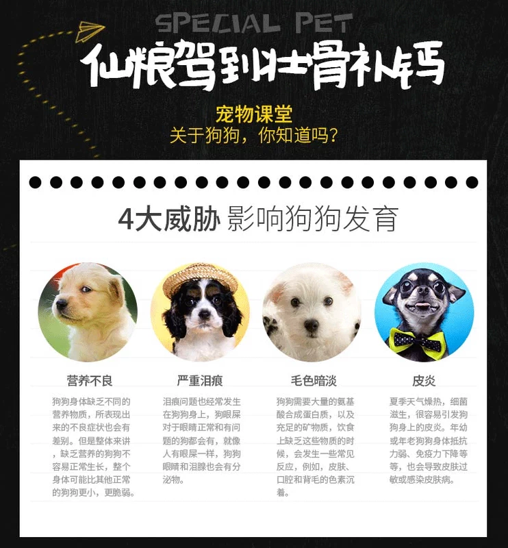 2018 Thức ăn cho chó số lượng lớn 5 kg 2,5kg chó trưởng thành 10 chó nhỏ vừa lớn 40 Thái quản lý toàn vẹn sản phẩm mới - Gói Singular thức ăn cho mèo royal canin